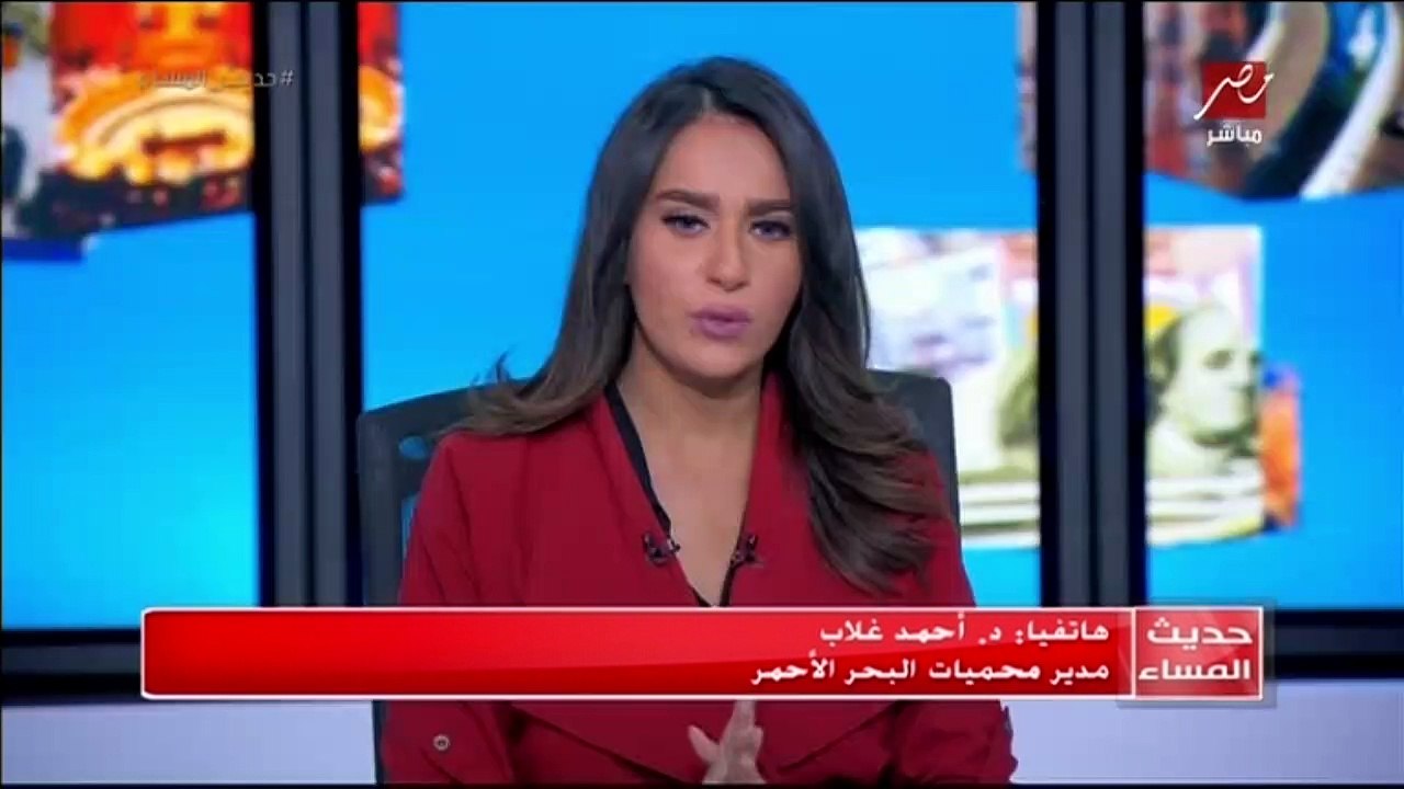 مدير محميات البحر الأحمر لـ #حديث_المساء : الكائن البحري الغريب الذي تم العثور عليه هو نوع من الدلافين يسمي "القاتل الكاذب"