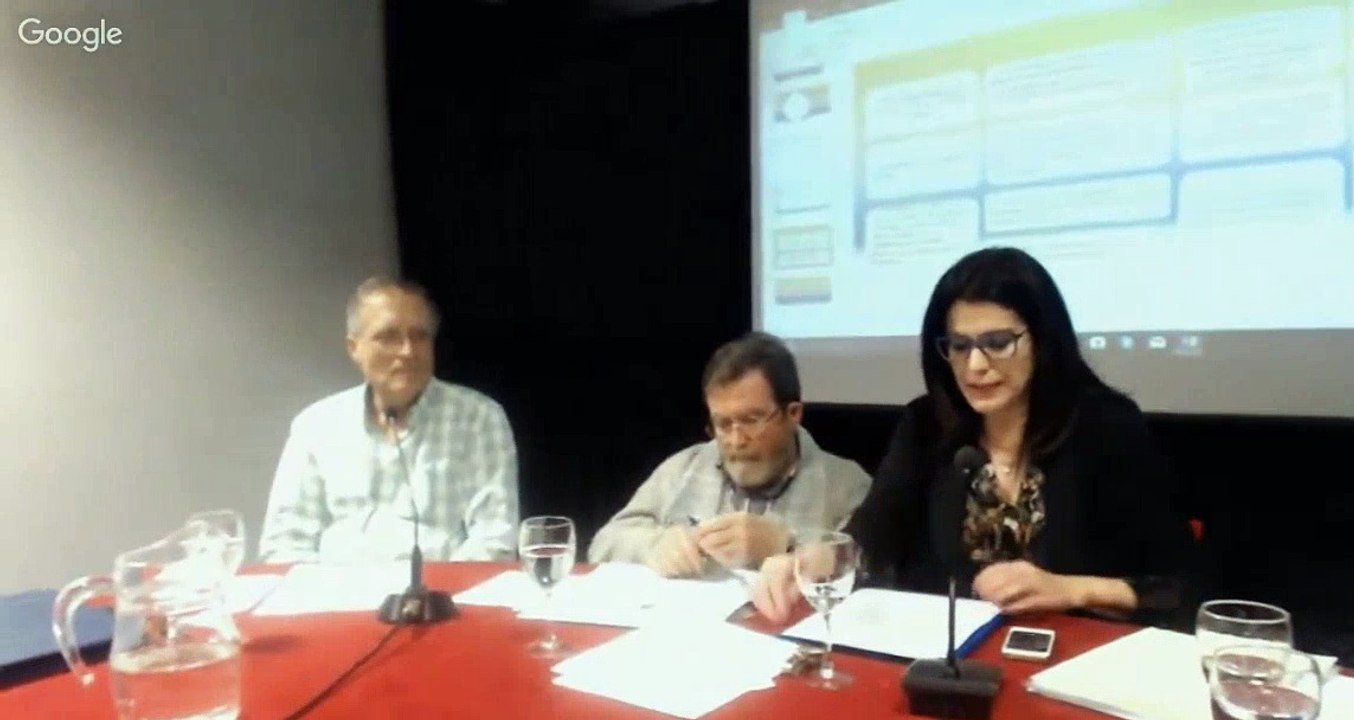 Gimeno Sacristán_Mesa Redonda Alternativas al artículo 27