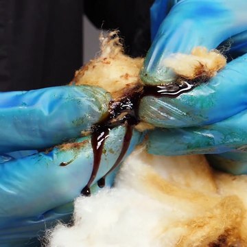 Découvrez limpact de 10 cigarettes par jour sur vos poumons ! o.O