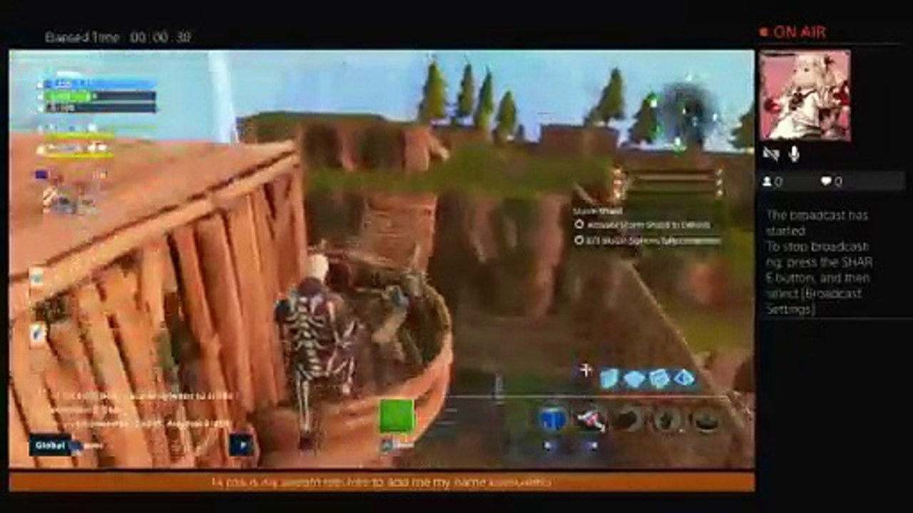 Fortnite (2)