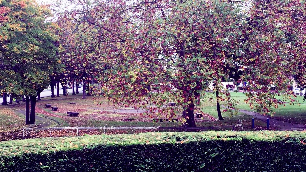 Vide Ton Casier