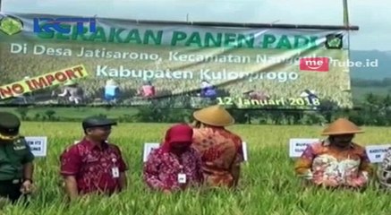 Petani Panen Padi, Pemerintah Lakukan Impor Beras