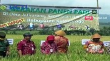 Petani Panen Padi, Pemerintah Lakukan Impor Beras