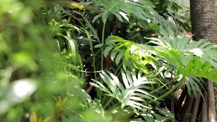 A Moda da Casa: Ana Strumpf visita a casa de Sabrina Gasperin