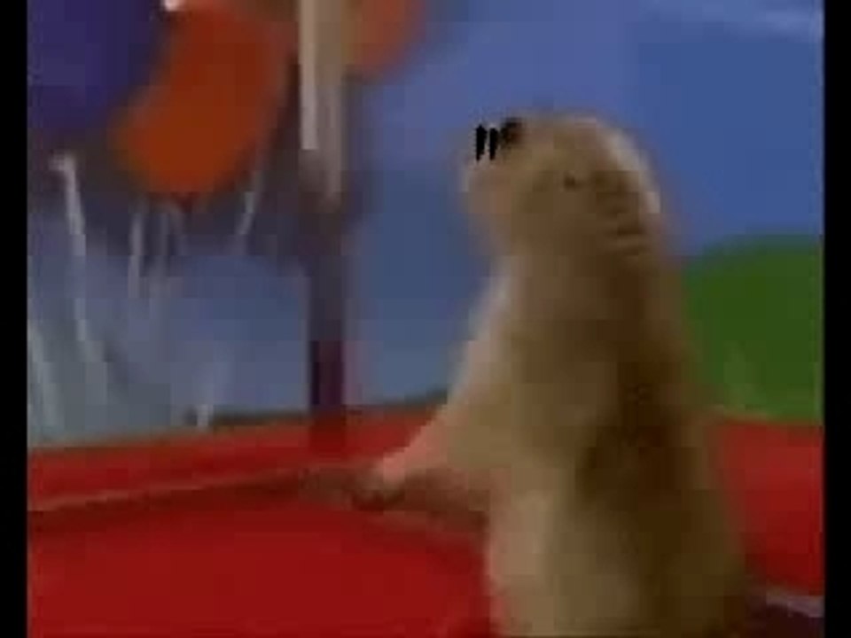 The Rock chipmunk