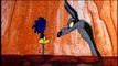 Cartoon Network | Curtas CN: Coyote e Papaleguas em Sobrevivi | 2010