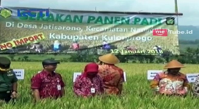 Petani Panen Padi, Pemerintah Lakukan Impor Beras