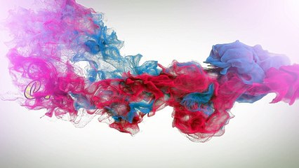 AMAZING Orchid mantis eats insect!!