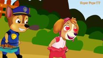 Paw Patrol Cartoon Pups Save Mer Pups Chase Is A Mer Pups! Paw Patrol Cartoon For Kids