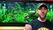 How to take care of a planted tank: Lights, dosing fertilizers, Pressurized CO2,water changes