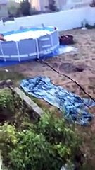 No hay dolor no duele o si