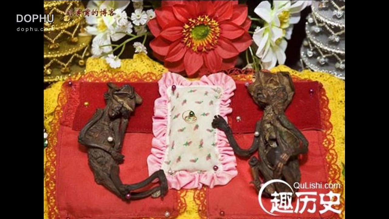 Paranormal Creatures Caught On Camera