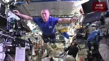 Astronautas flutuam em 'mannequin challenge' espacial