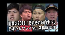 日本ハム 勝負の2018！それぞれの自主トレ 2018.2.3 日本ハムファイターズ情報 プロ野球