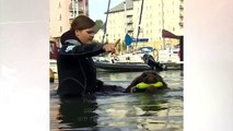 Os cães que trabalham como salva-vidas em praias britânicas