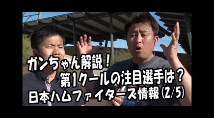 日本ハム ガンちゃん解説！第1クールの注目選手は？ 2018.2.5 日本ハムファイターズ情報 プロ野球