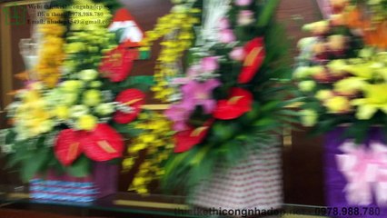 Thiết kế thi công văn phòng đẹp