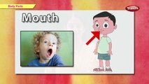 Lets Learn Body Parts | Learn Body Parts For Kids | Pre School Junior