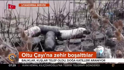 Oltu Çayı'na zift döküldü