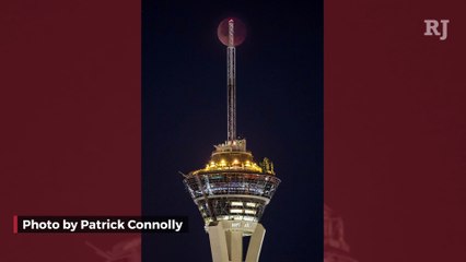 Jan. 29-Feb. 04: See the week’s best photos from RJ photographers