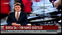 Bursa'da 1 ton hamsi dağıtıldı