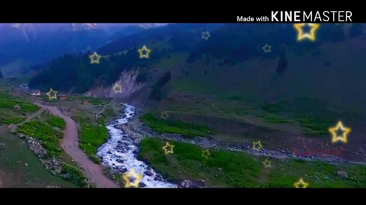 Kashmir Day Status
