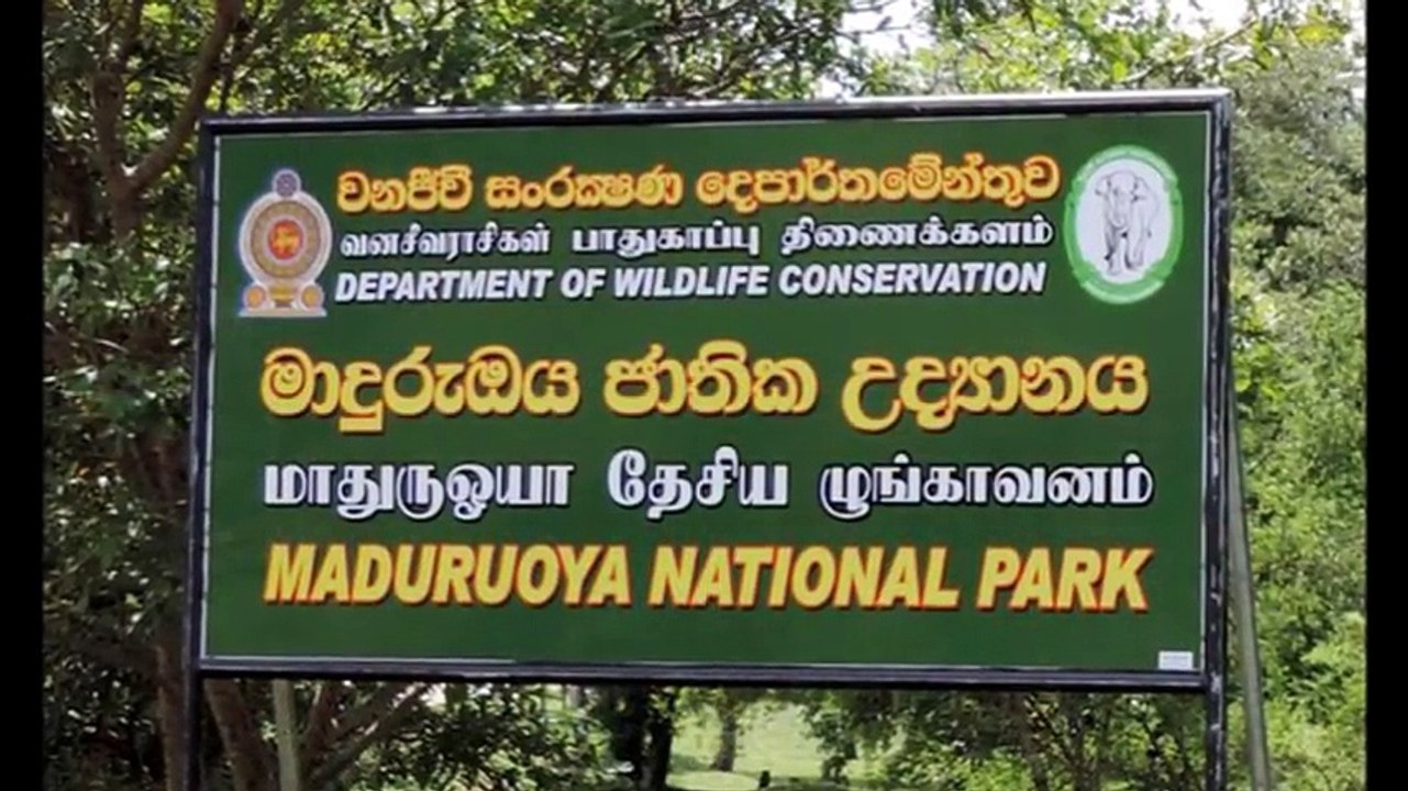 ඉතාමත් දුර්ලබ නිවුන් අලි උපතක් ලංකාවෙන්