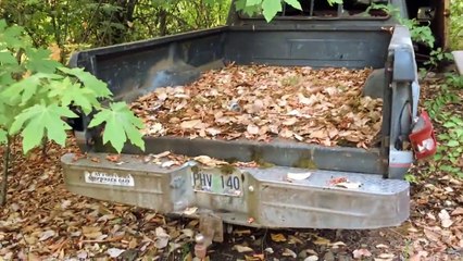 REAL WITCH CAUGHT ON CAMERA (horror short)