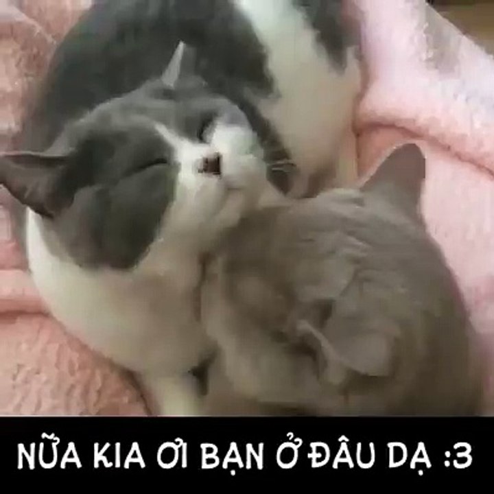 Nữa kia đâu rùi tag vào ôm ôm nhau nà !!! :3Bài Hát: Nói Yêu Em đi - Thái Tuyết Trâm - https://www.youtube.com/watch?v=hcWCvhHCisE