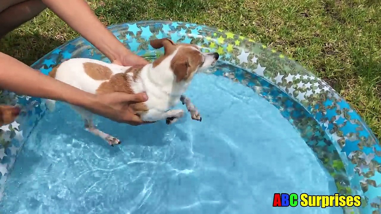 Learning for Toddler Mr Potato Head Hunt Learn Body Parts ABC Surprises