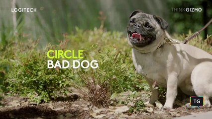 Logitech Circle 2 + the Google Assistant Integration.