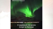 Imagem mostra baleias sob luz de aurora boreal na Noruega