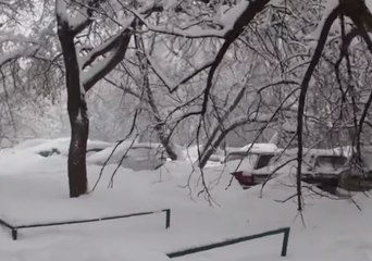 Moscow Gets Half a Month's Worth of Snow in 24 Hours