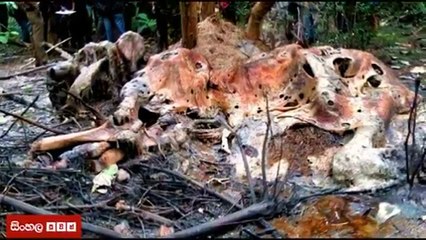 දළ පූට්ටුවා මැරූ අපරාධකරුවන් මෙන්න