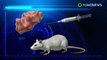 Vaksin kanker? Vaksin ini berhasil hilangkan tumor di tikus - TomoNews