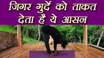 Yoga to make Liver & Kidney Strong | जिगर और गुर्दे को ताकत देता हैं ये आसन | Boldsky