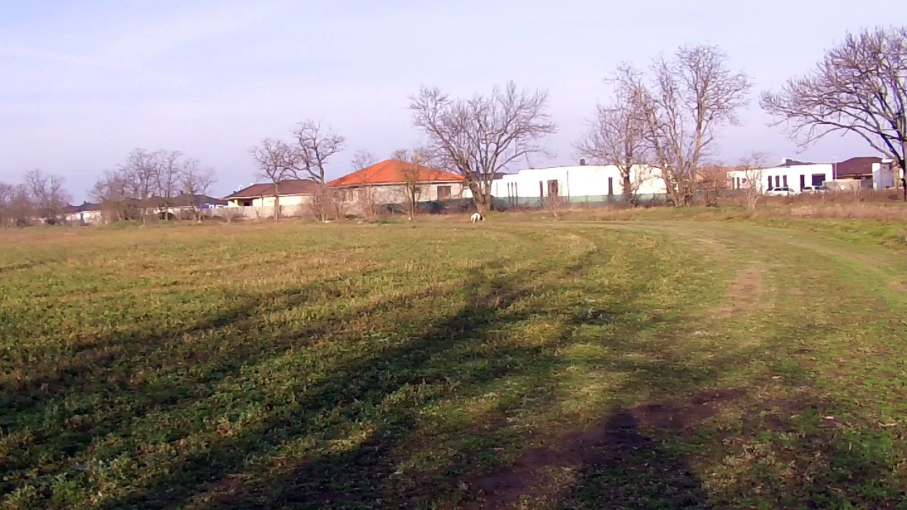 Stella Nero Jan18 Malinovo 01