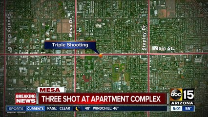 Police: 2 dead, 1 hurt in possible Mesa murder-suicide
