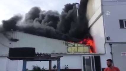 Fide Üretim Tesisinde Yangın