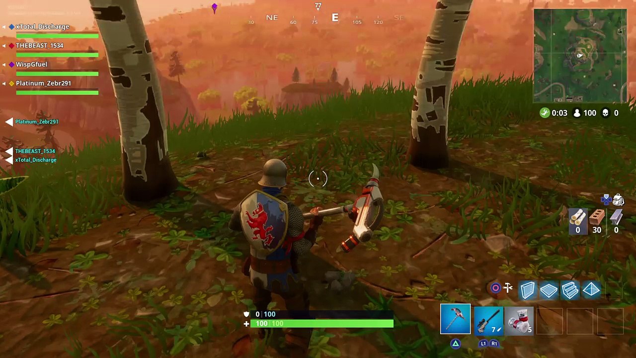 Fortnite