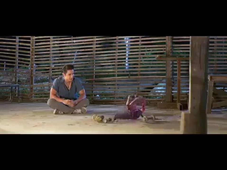 funny murga fight