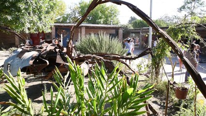 Quinoa capsule alterantives #12 Creciendo Juntos · Grandir ensemble à Moreno