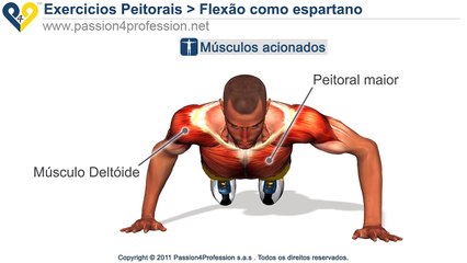 Flexão como espartano ( Treinamento físico 300 )