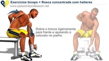 Rosca concentrada com halteres