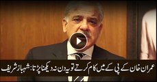 Had Imran worked in KP he would not have to see this day: Shehbaz
