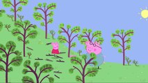 Peppa Pig em Português | Papai Pig é perito em acampar | Desenhos Animados | Desenhos Animados