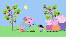 Peppa Pig em Português | Em busca do tesouro | Desenhos Animados | Desenhos Animados
