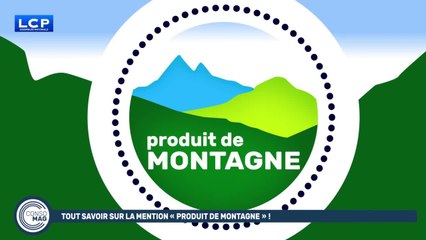 Test Dailymotion 05/02