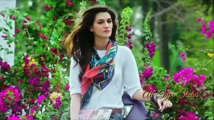 Cute Scene Whatsapp Status  Romantic Whatsapp Status  by all type status