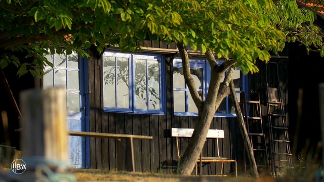 Bassin d'Arcachon - Nos coins secrets